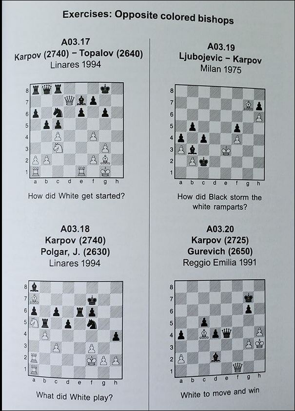 The race between humans and robots as teachers in chess (part 3: Flashcards)