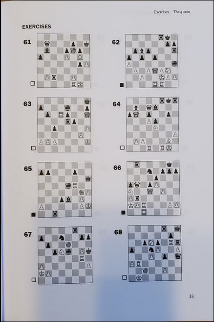 A Modern Guide to Checkmating Patterns: Improve Your Ability to Spot  Typical Mates by V. Barsky 