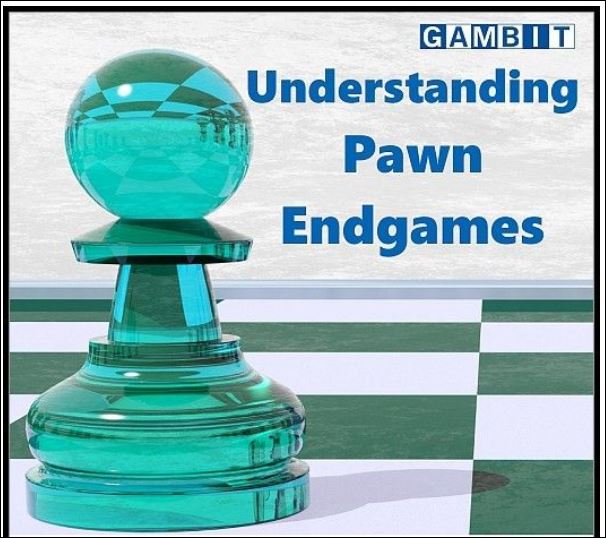 Endgames Archives – Better Chess